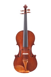 Geige nach Amati - Decke