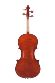 Geige nach Amati - Boden