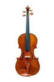 Geige nach A. Stradivari Ex Bavarian - Decke